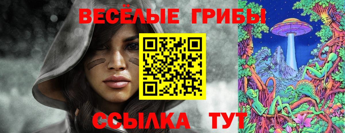 Псилоцибиновые грибы мухоморы  Вход с VPN  Псилоцибиновые грибы прущие грибы  Санкт-Петербург 